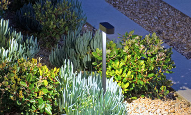 Path Light Linear 112