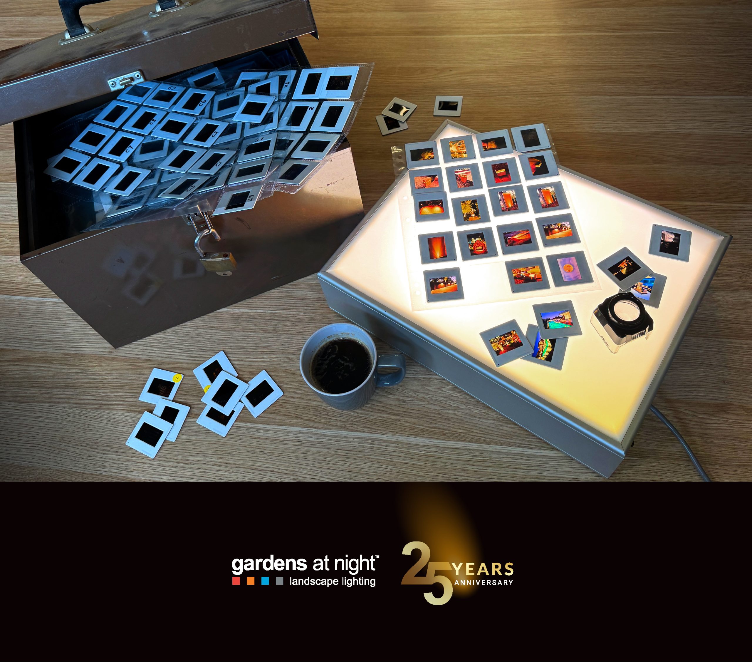 '25years_Lightbox Lightbox on photograph slides as Gardens at Night celebrates their 25 years anniversary